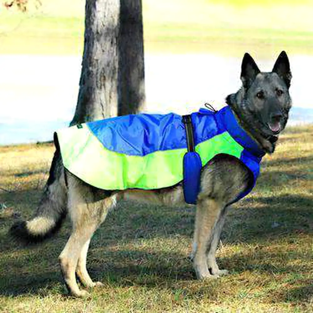 Alpine All-Weather Dog Coat - Blue and Green