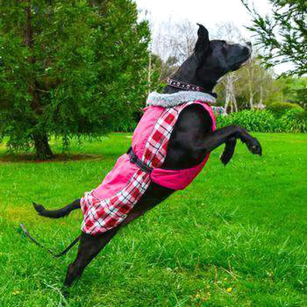 Alpine All Weather Dog Coat - Raspberry Plaid