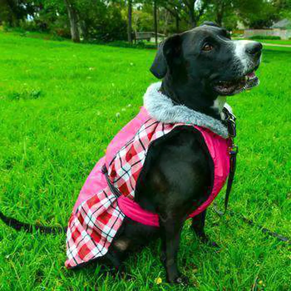 Alpine All Weather Dog Coat - Raspberry Plaid