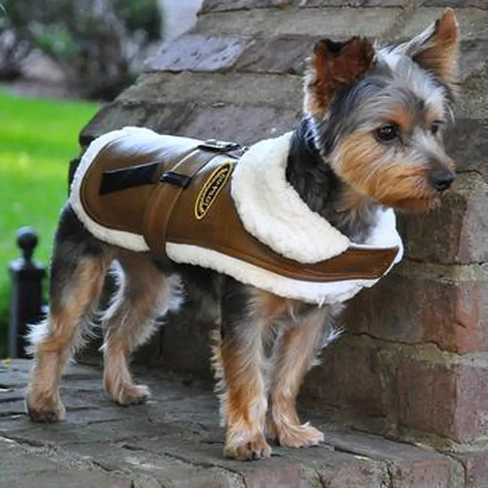 Brown and Black Faux Leather Bomber Dog Coat Harness + Leash