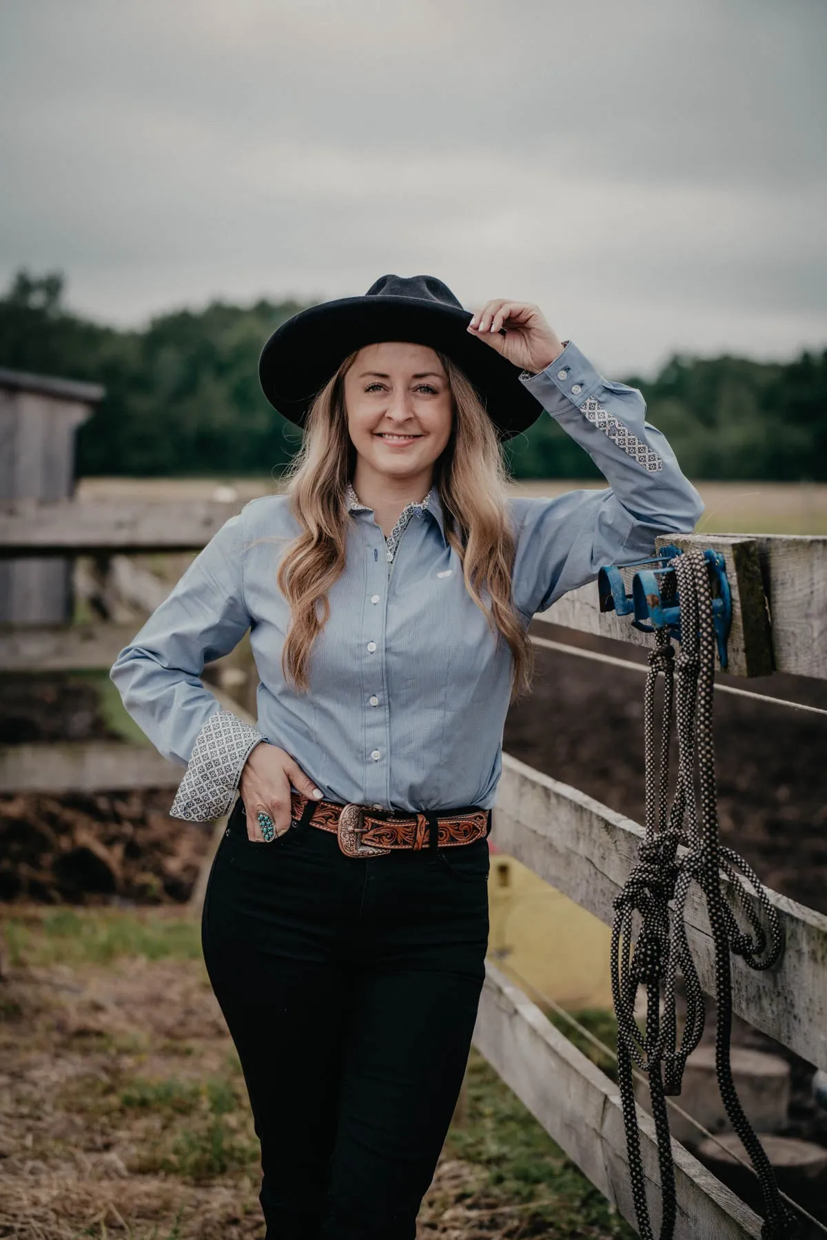 'Calista' CINCH Women's Blue Pinstripe Button Up Shirt with Stretch (XS-XXL)