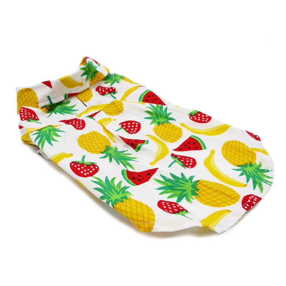 Fruitilicious Dog Shirt