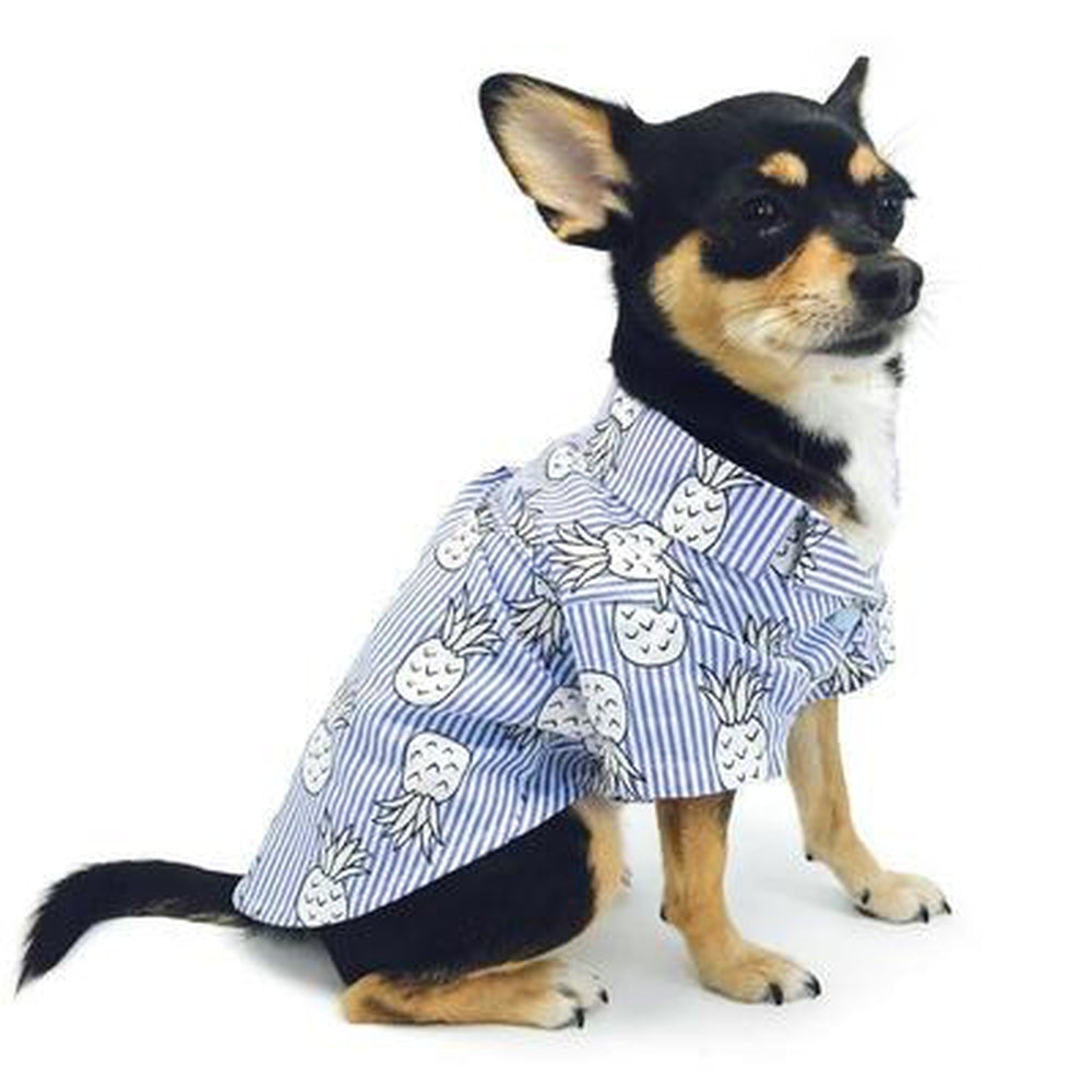 Pineapple Island Dog Shirt - Blue