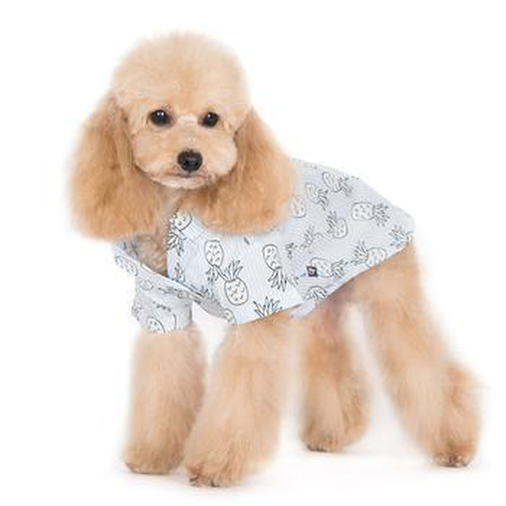 Pineapple Island Dog Shirt - Light Blue