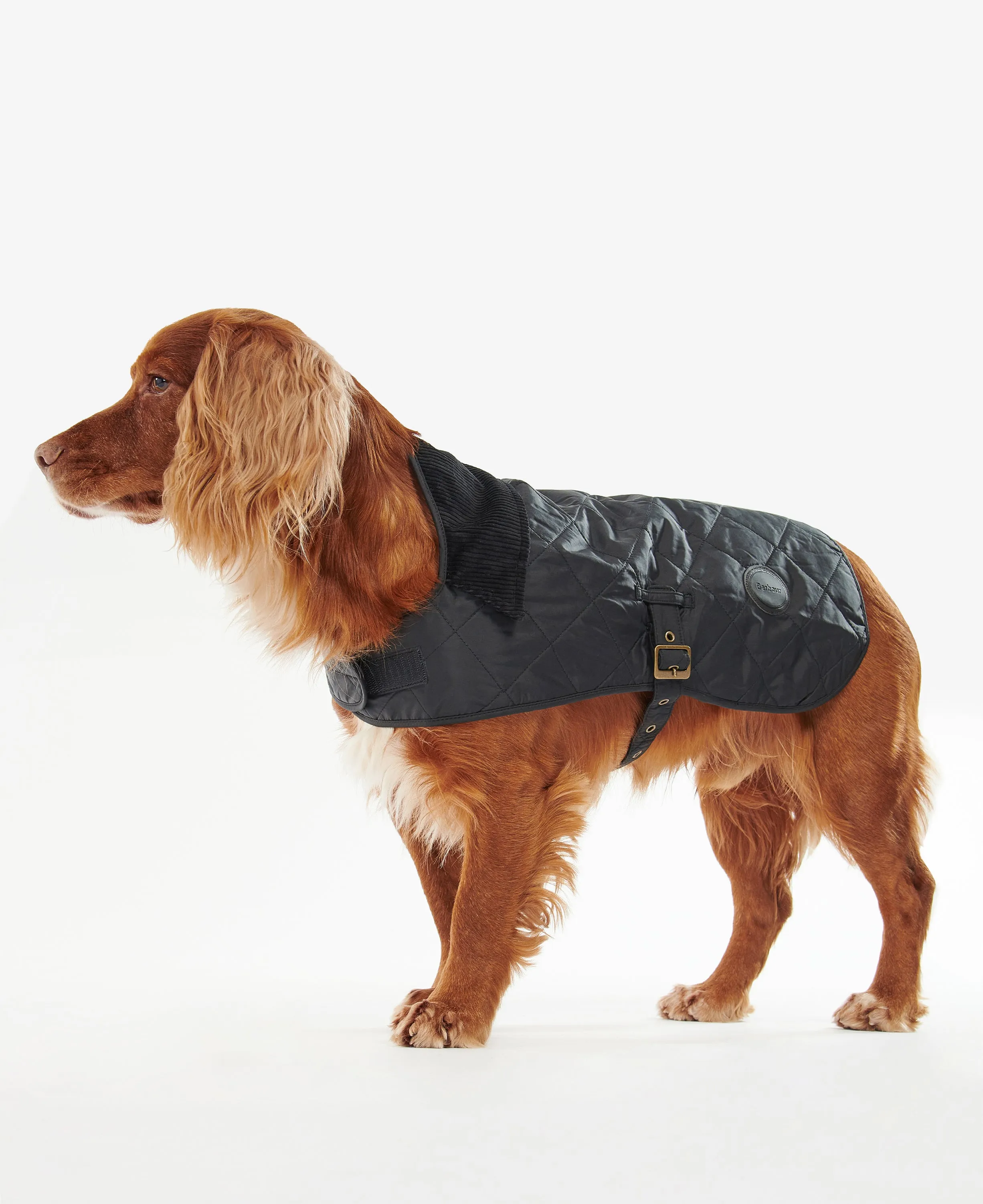 Quilted Dog Coat Black