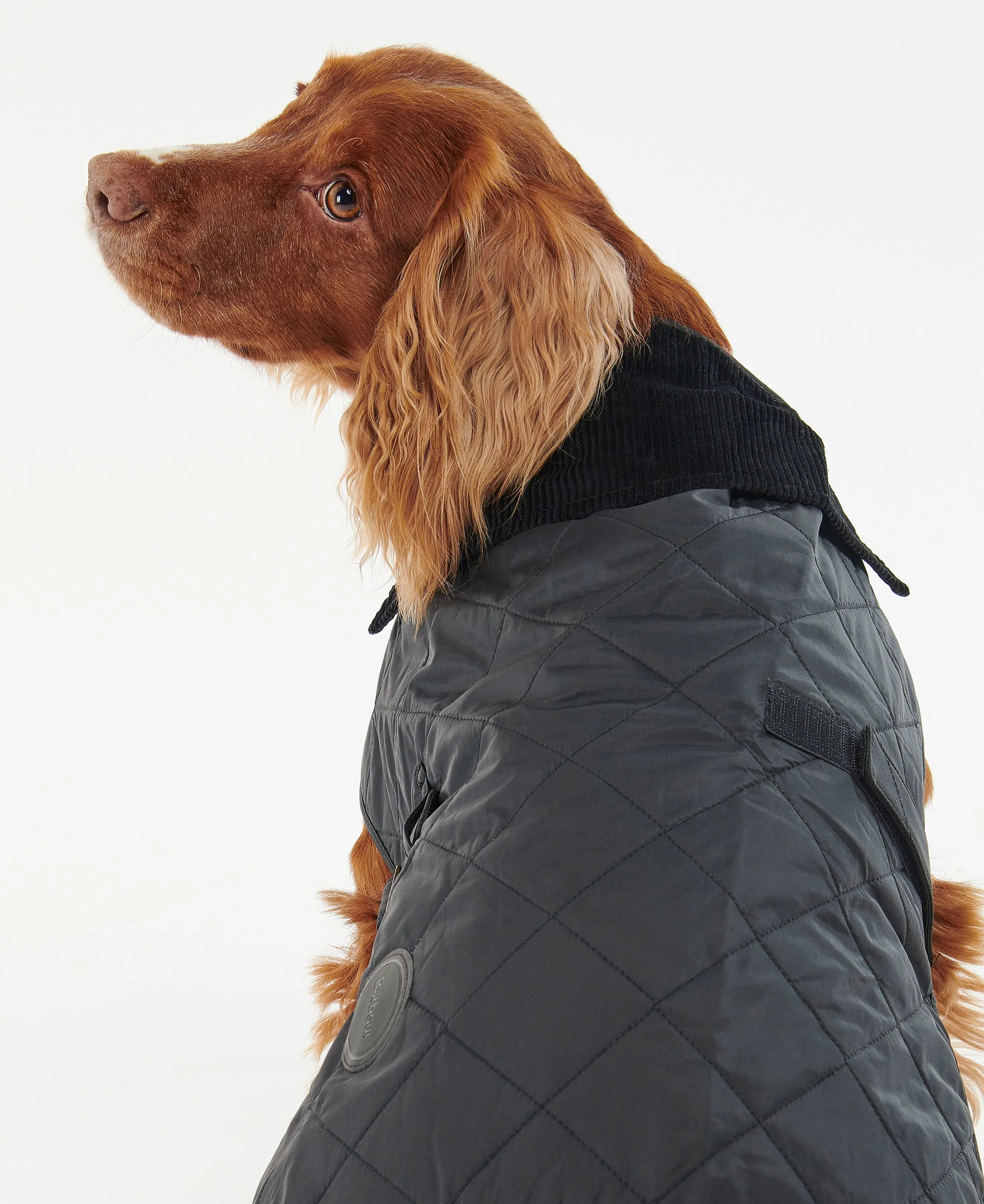 Quilted Dog Coat Black