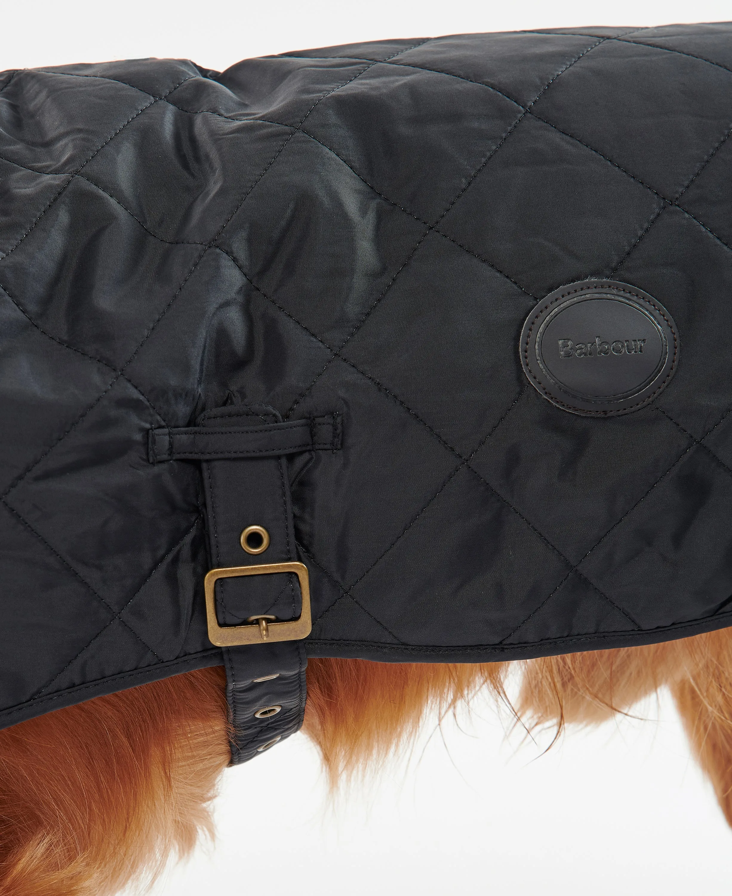 Quilted Dog Coat Black