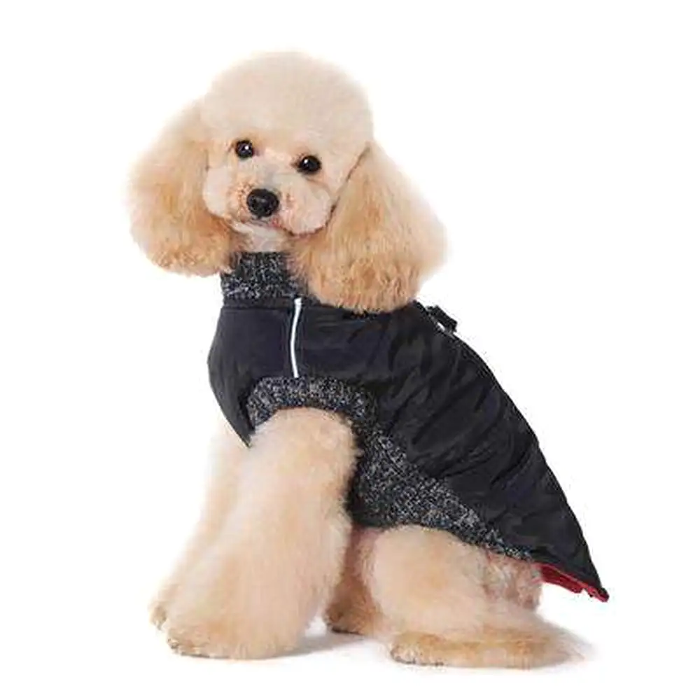 Runner Dog Coat - Black