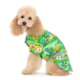 Tropical Island Dog Shirt by Dogo - Green