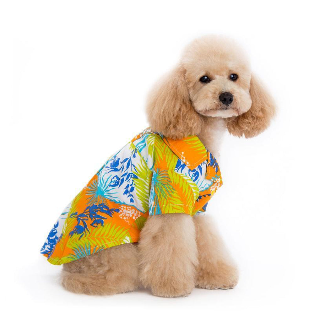 Tropical Island Dog Shirt by Dogo - Orange