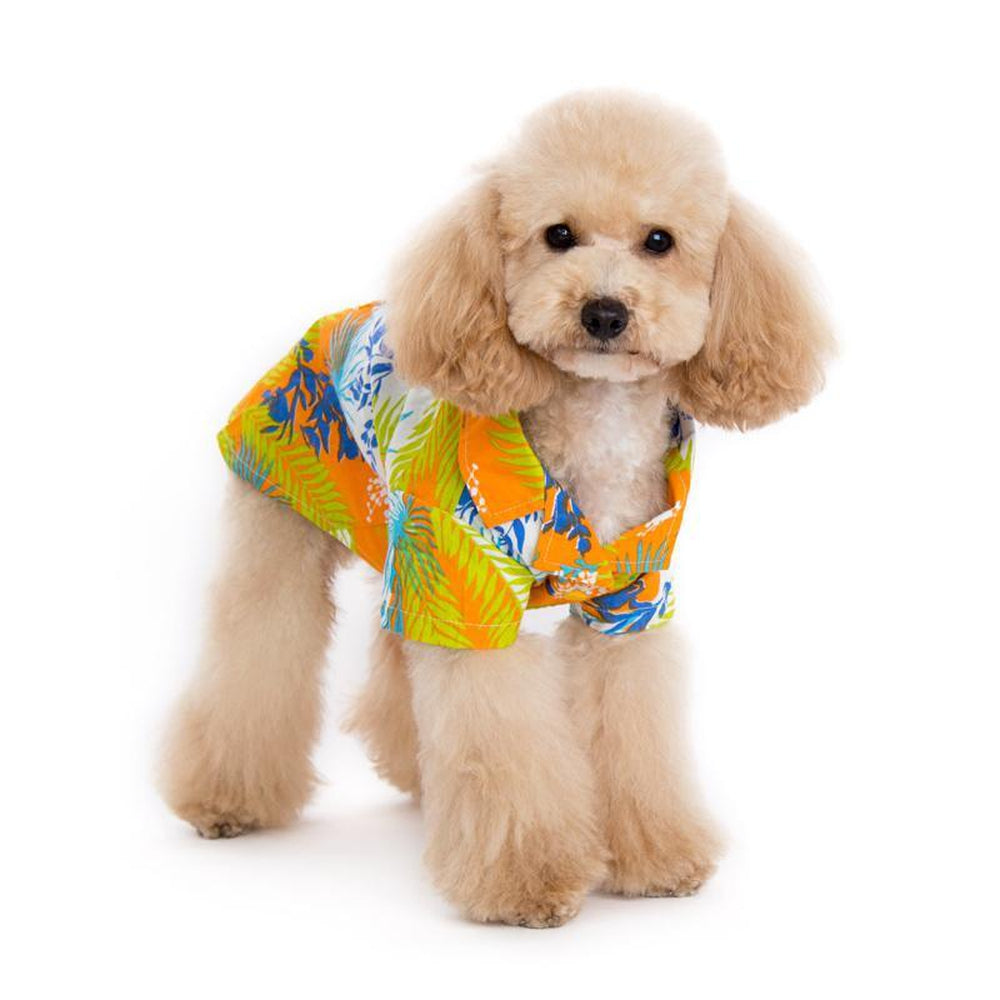 Tropical Island Dog Shirt by Dogo - Orange