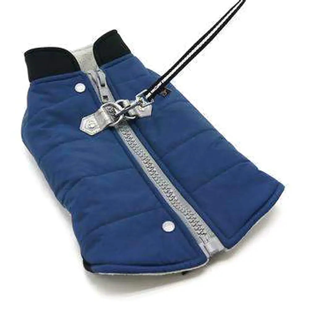 Urban Runner Dog Coat - Blue